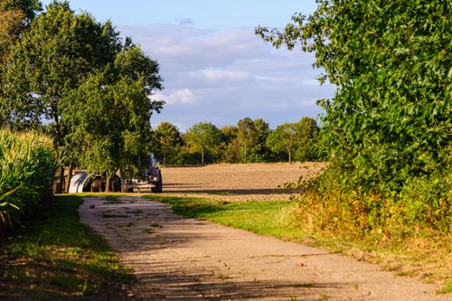 Free A serene farm scene with a tractor on a sunlit path, surrounded by trees and fields. Stock Photo