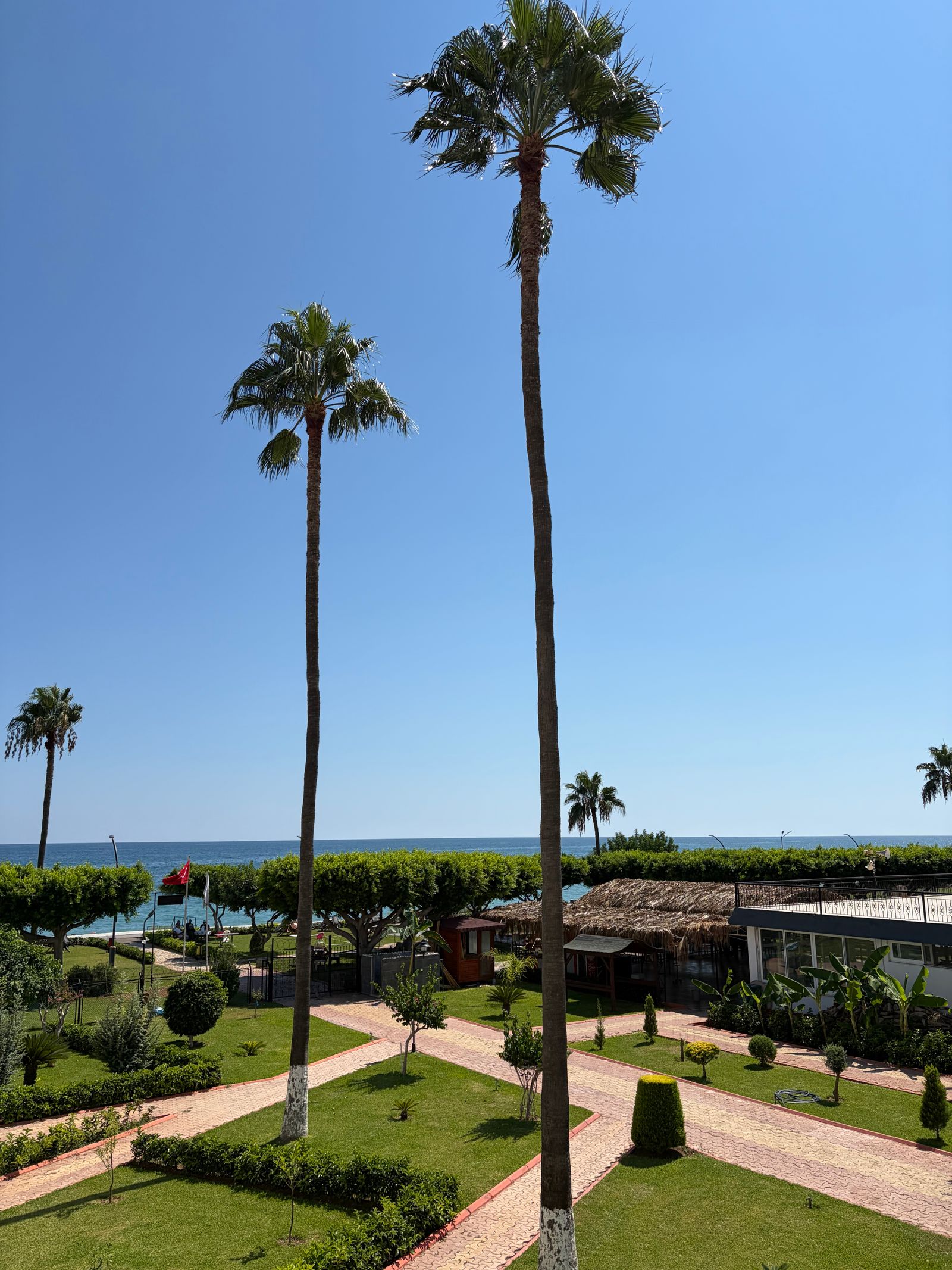 Sunlit garden with palms and flowers beside the galleries