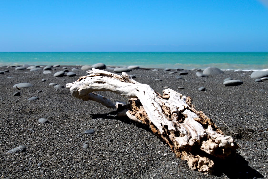 Free stock photo of beach, environment, landscape