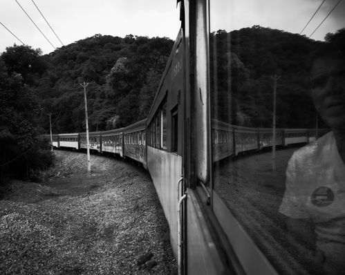 Free Black and white view of a train traveling through lush forests in Morretes, Brazil. Stock Photo