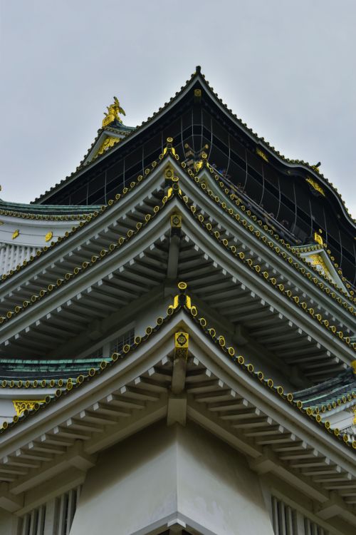 Free Close-up view of Osaka Castle's architectural details showcasing traditional Japanese design. Stock Photo
