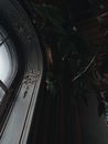 From below of ornamental arched window decorated with frescoes and green leaves on ceiling