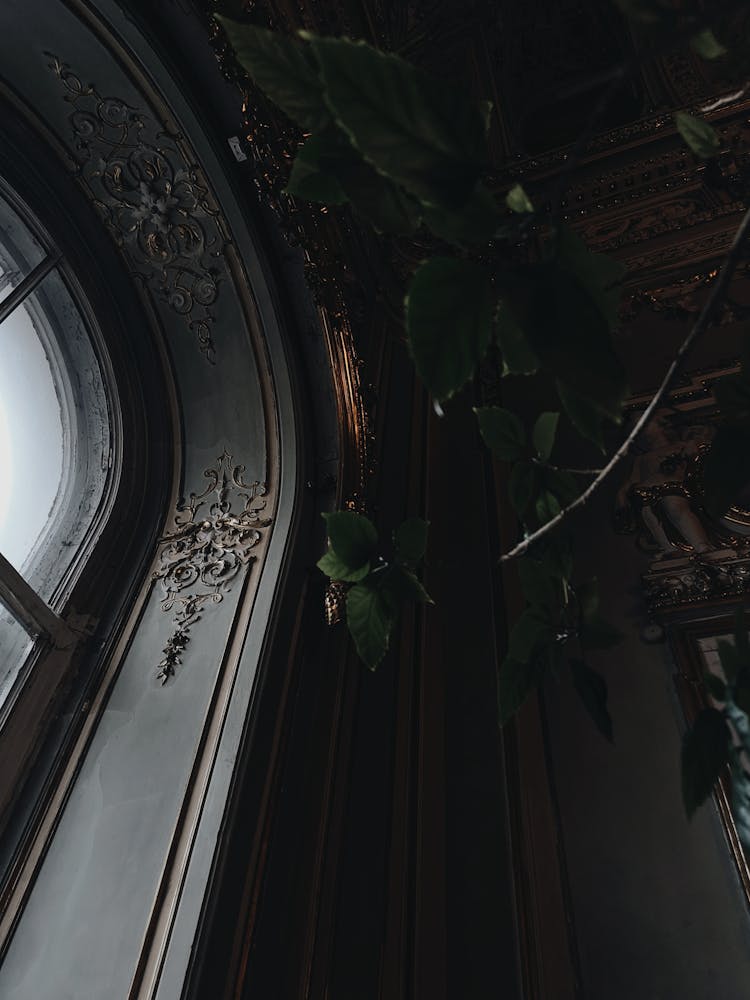 Old Ornamental Ceiling With Arched Window