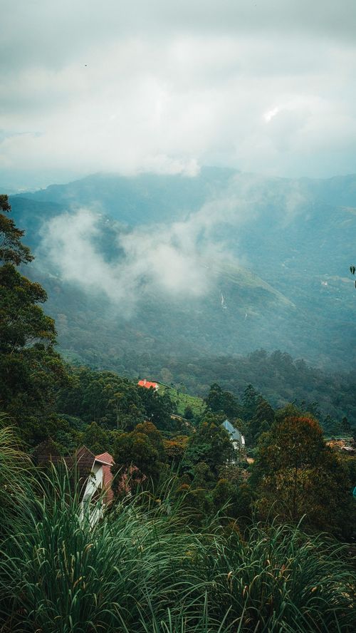 Free A breathtaking view of a foggy mountain landscape with lush greenery and scattered houses. Stock Photo