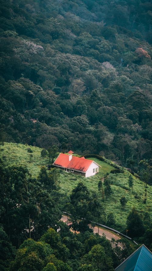 Free Aerial view of a quaint red-roofed house nestled in a lush, green forest, showcasing serene nature. Stock Photo