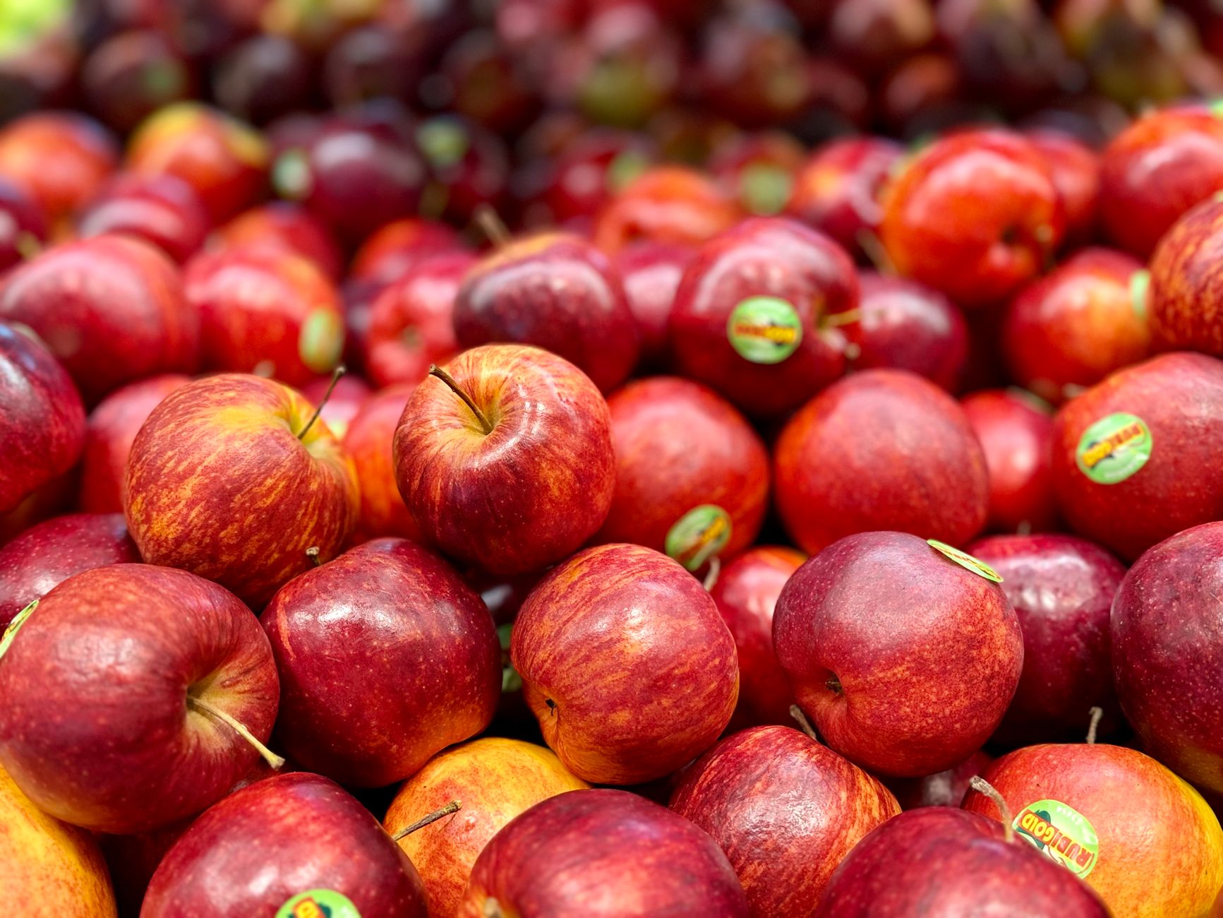 Mastering Daily Nutrition: Practical Meal Frameworks from Top Health Authorities