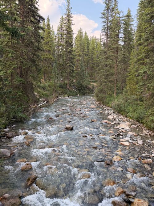 Free A tranquil river flows through lush forests in Banff National Park, Alberta. Stock Photo