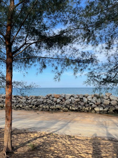Free A peaceful coastal beach with pine trees framing a rocky barrier against clear blue waters. Stock Photo
