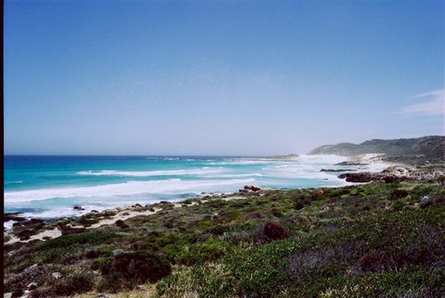 Free Breathtaking view of a pristine coastal landscape with clear blue ocean and lush greenery. Stock Photo