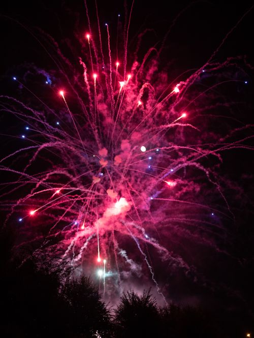 Free Colorful fireworks exploding against a clear night sky, creating a stunning visual spectacle. Stock Photo