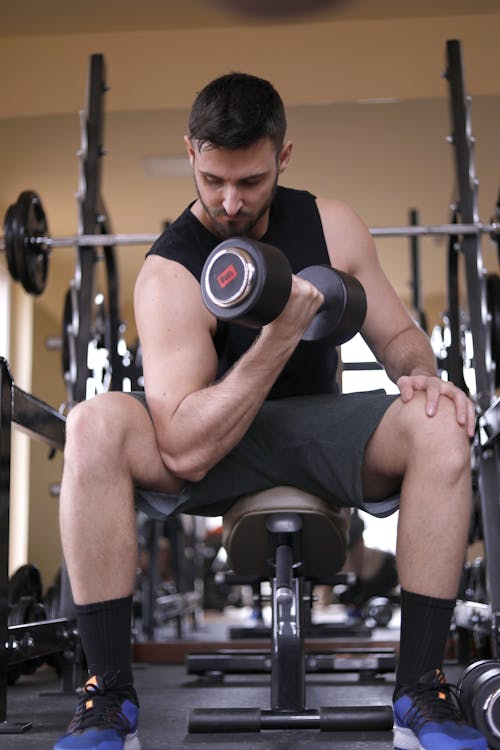 Fotobanka s bezplatnými fotkami na tému biceps, činka, cvičenie