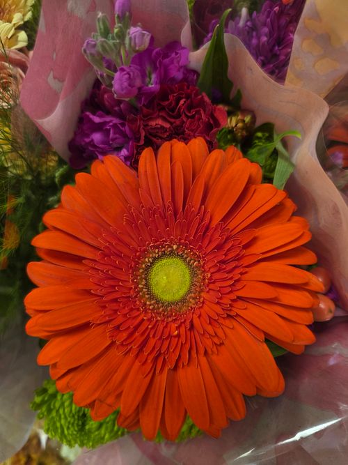 Free Detailed close-up of a vibrant Gerbera daisy bouquet with mixed flowers, showcasing vivid colors. Stock Photo