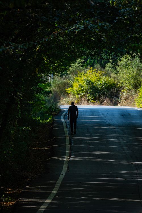 Free Solitary person walking on a shaded road in Şile, Istanbul surrounded by lush green foliage. Stock Photo