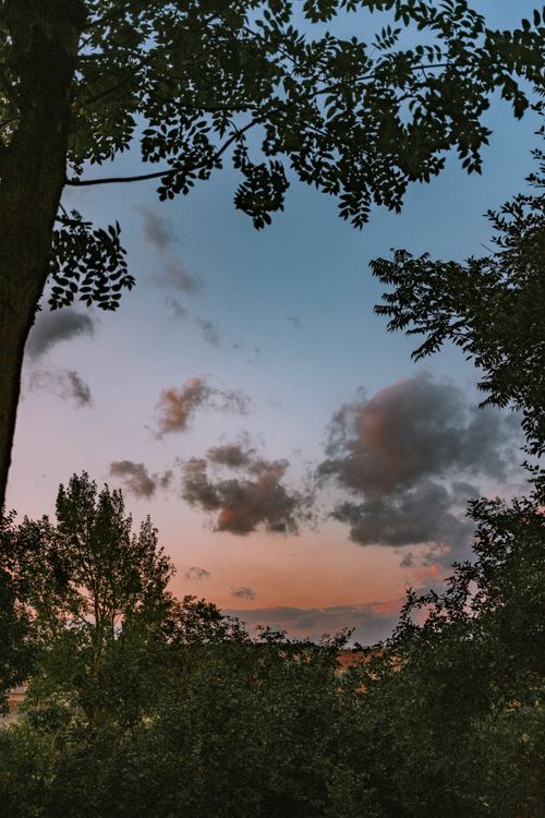 Free Dramatic sunset sky with silhouetted trees and colorful clouds creating a serene outdoor scene. Stock Photo