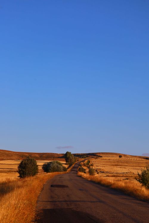 Free A scenic road stretches through golden rural fields under a bright blue sky. Stock Photo