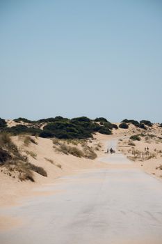 Desert road stretches through vast sand dunes under a clear blue sky, flanked by green shrubs.