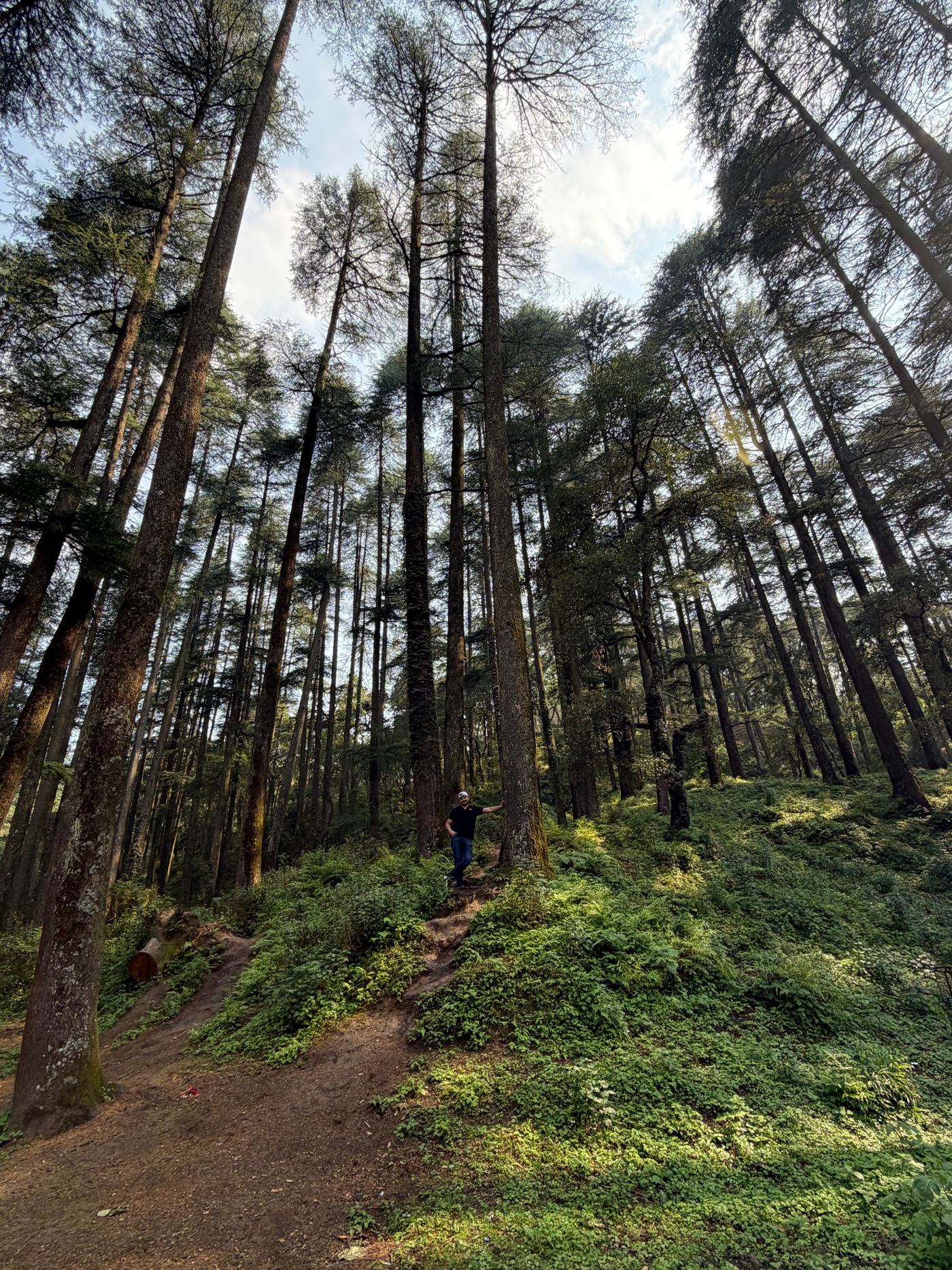 Dhanaulti — Uttarakhand travel photograph 2