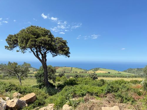 Free Scenic view of a lush landscape with ocean horizon in Sidi Rached, Algeria. Stock Photo