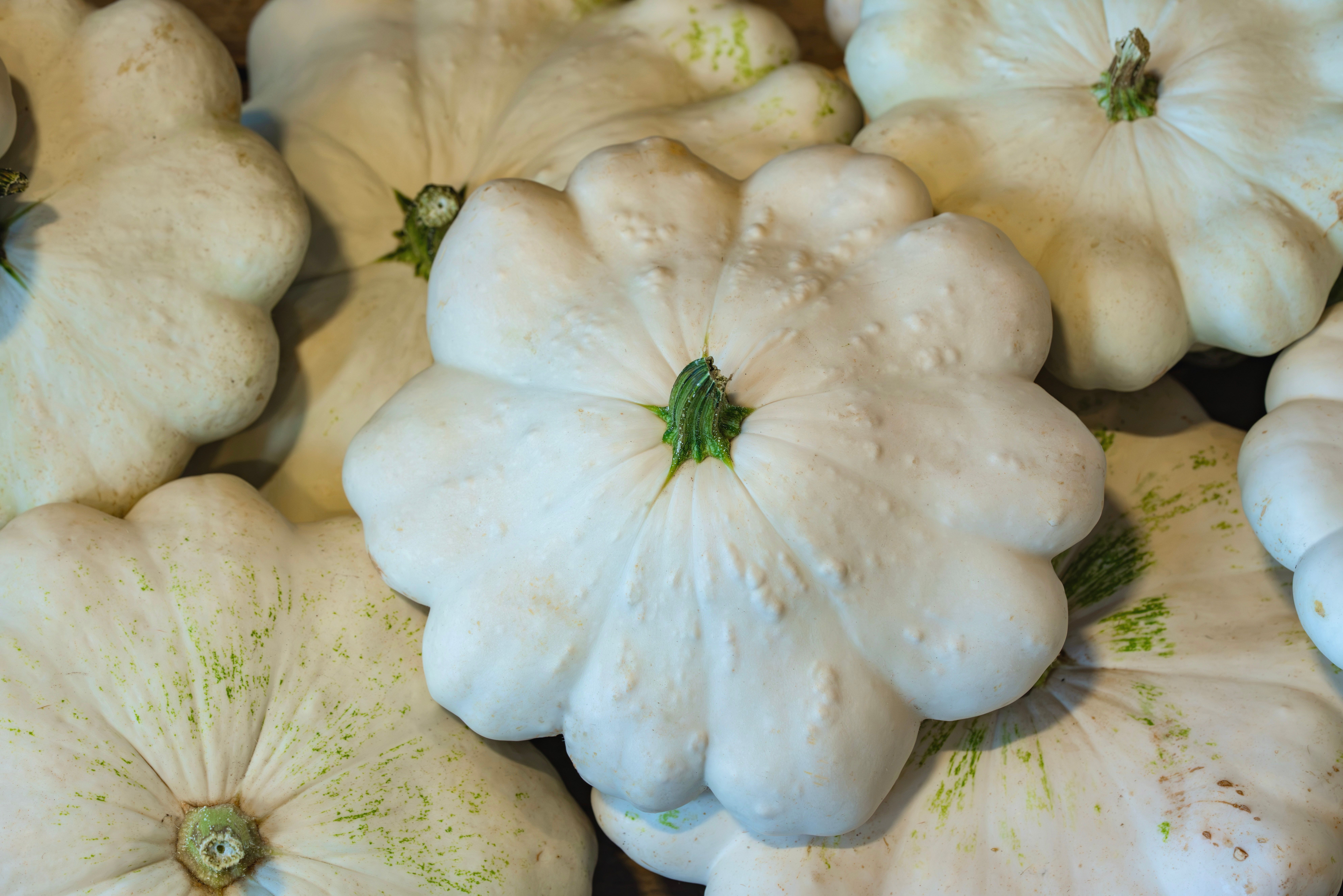A detailed close-up view of fresh white pattypan squash displayed together, emphasizing their unique shape and texture.