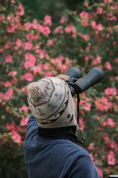 Person observing nature with binoculars among vibrant pink flowers in a Brazilian garden.