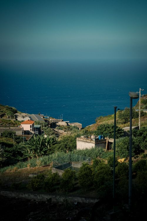 Free Picturesque view of a coastal village with lush greenery and ocean horizon under a clear sky. Stock Photo