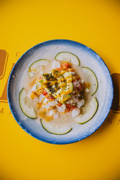 Free Delicious ceviche with avocado and cucumber arranged on a vibrant blue plate over a yellow backdrop. Stock Photo