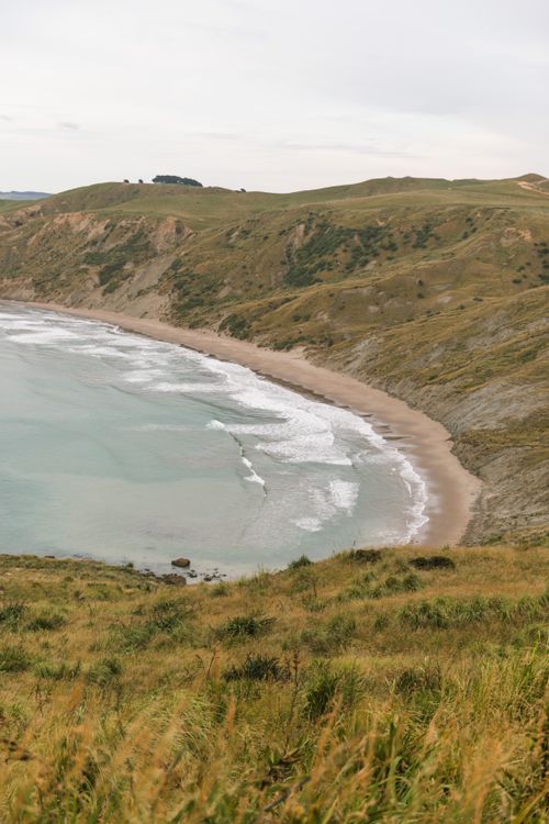 Free Breathtaking view of Castlepoint's coastline showcasing New Zealand's natural beauty. Stock Photo