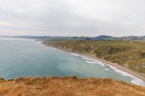Free A stunning view of Castlepoint's rugged coastline in New Zealand, showcasing natural beauty. Stock Photo