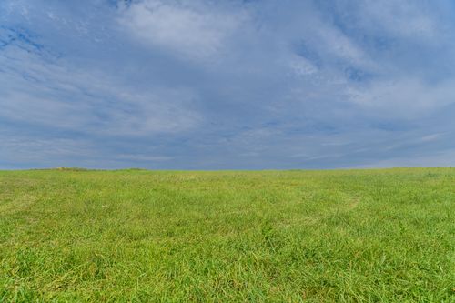 Free Expansive green grass field under a bright blue sky, perfect for nature and landscape themes. Stock Photo