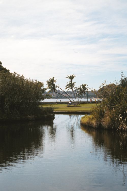 Free A serene lakeside scene with palm trees and reflections on a sunny day. Stock Photo