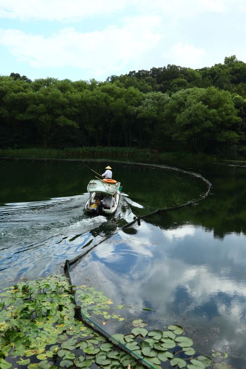 Free A serene scene showcasing a man fishing on a calm lake surrounded by lush greenery, under a bright sky. Stock Photo