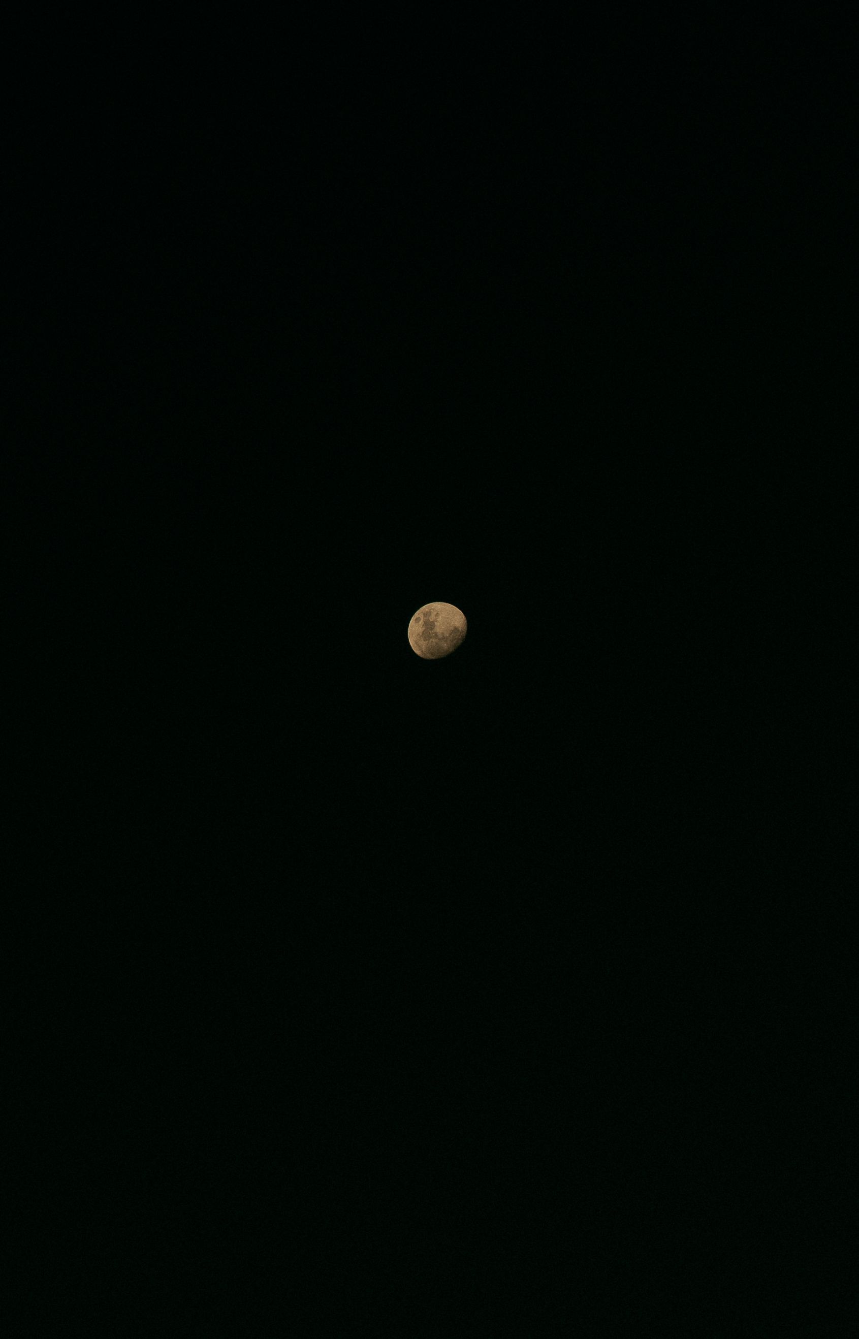 A serene shot of a half moon against a deep black starless night sky.