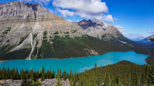 Free Breathtaking view of Peyto Lake's turquoise waters in the Canadian Rockies. Stock Photo