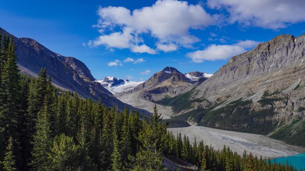 Breathtaking mountain vista in the Canadian Rockies during summer, showcasing lush forests and blue skies.