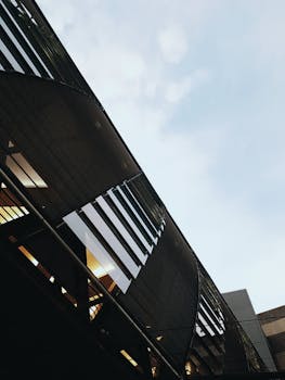 Business Degree Banner