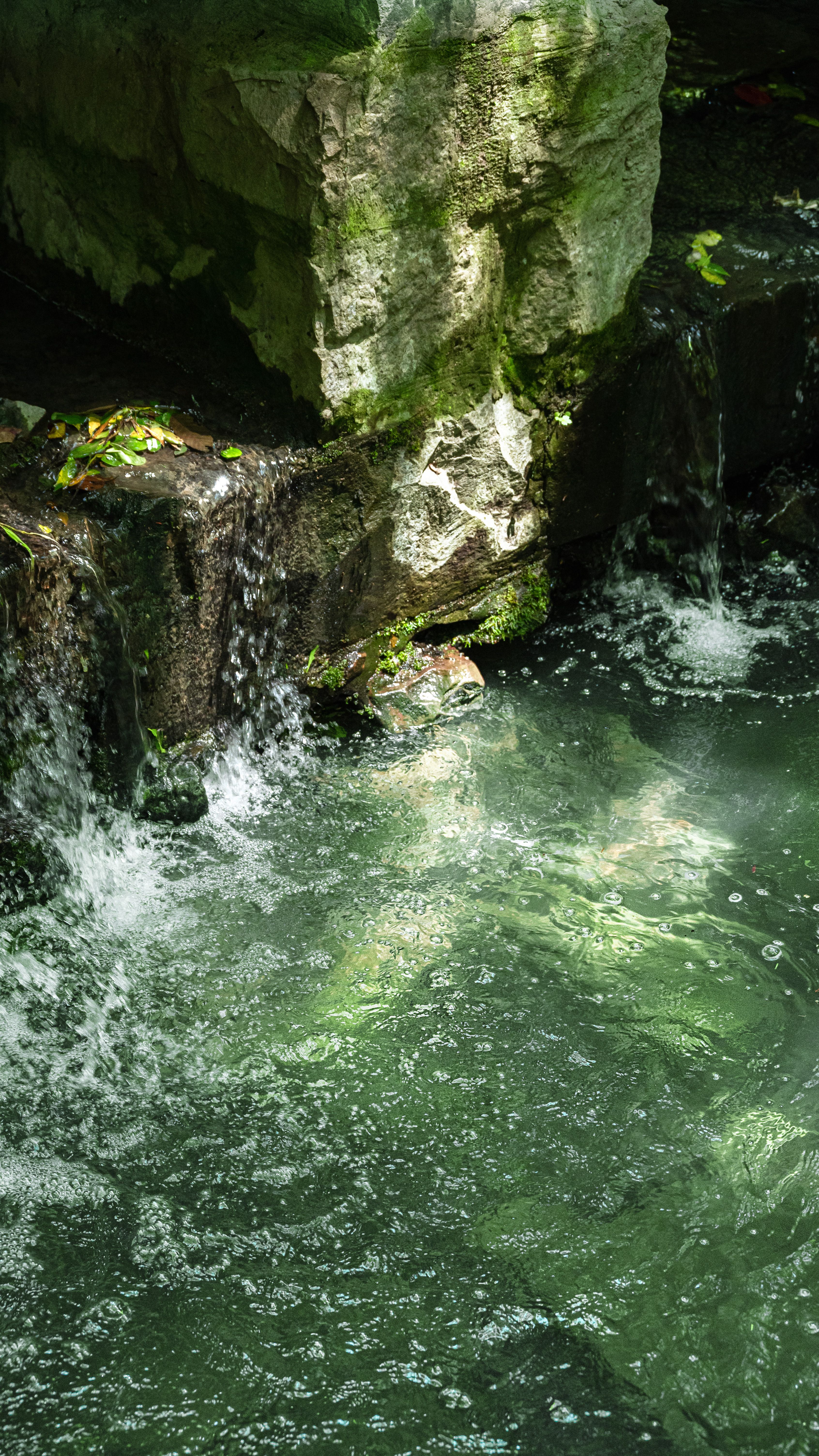 Peaceful scene of waterfalls cascading over mossy rocks in a lush setting, creating a serene and refreshing atmosphere.