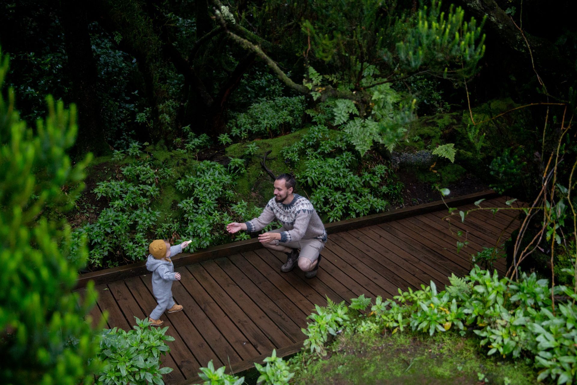 Father and toddler bonding during a forest walk on a wooden path, surrounded by lush greenery.