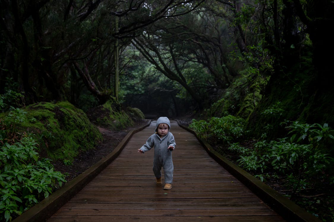 Free Concentrated kid trying making steps on planked footpath in dark deep forest in cold day Stock Photo