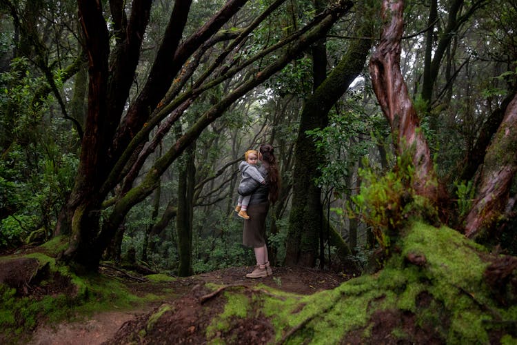 Forest Bathing: More Than Just a Walk in the Woods thumbnail