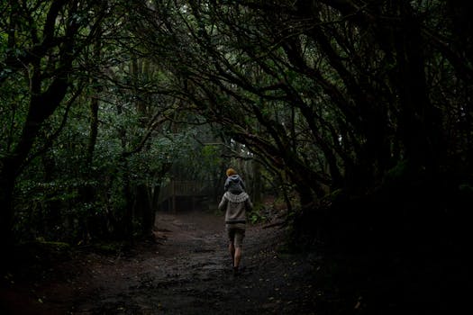 一位父亲背着孩子，走在一条郁郁葱葱、幽暗的森林小路上