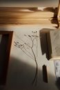 木桌上摆放着创意公寓的展示，其中有干花、阴影和艺术元素
