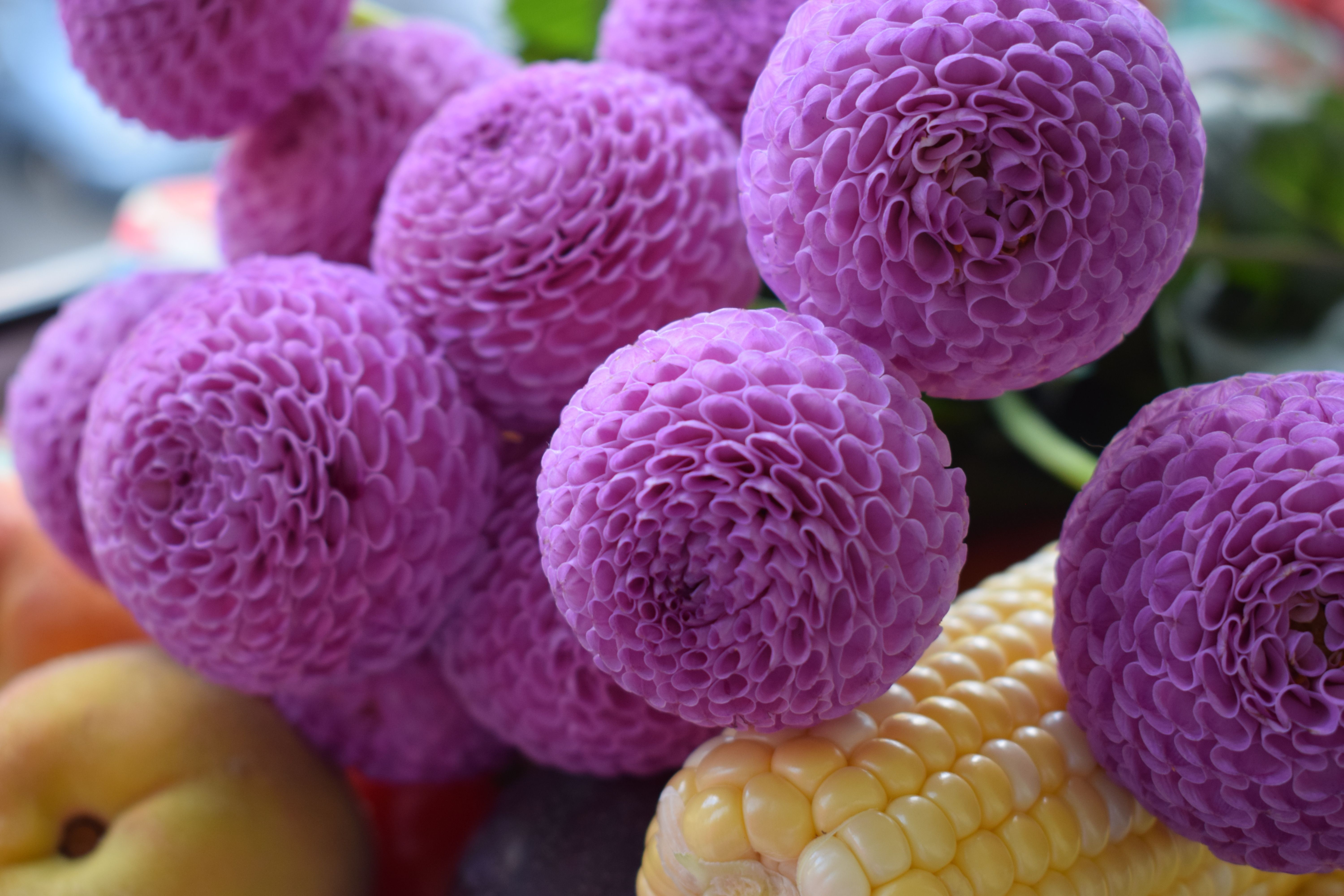 Picarones with Purple Corn Syrup