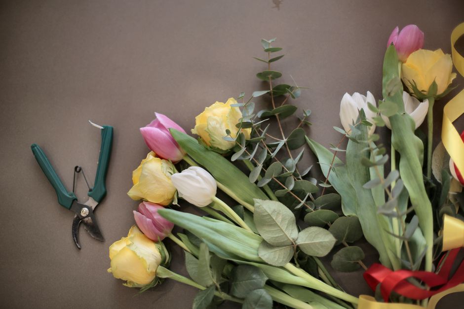Pruning scissors next to blooming flowers — rose pruning technique in Surrey BC