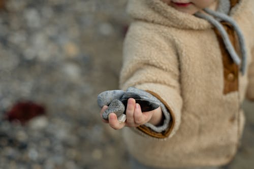 Free Curious little kid in warm coat holding stones in hand on shore Stock Photo