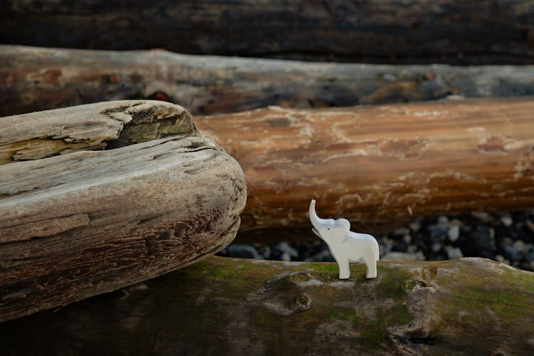 Toy Figure Of Elephant Placed On Log On Stony Ground In Nature