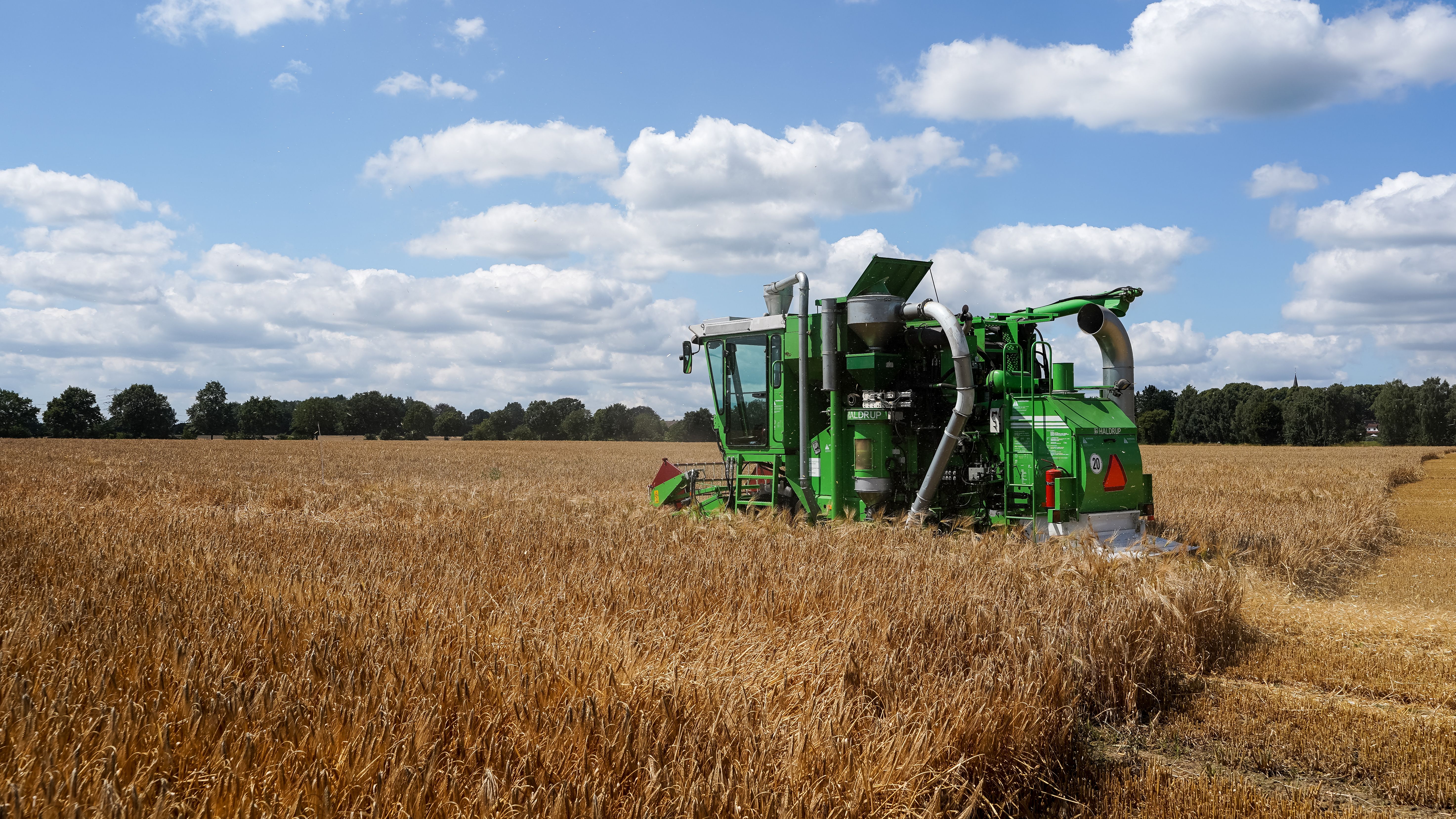 General Mills and Walmart partner on regenerative agri initiative — Photo by Wolfgang Weiser on Pexels