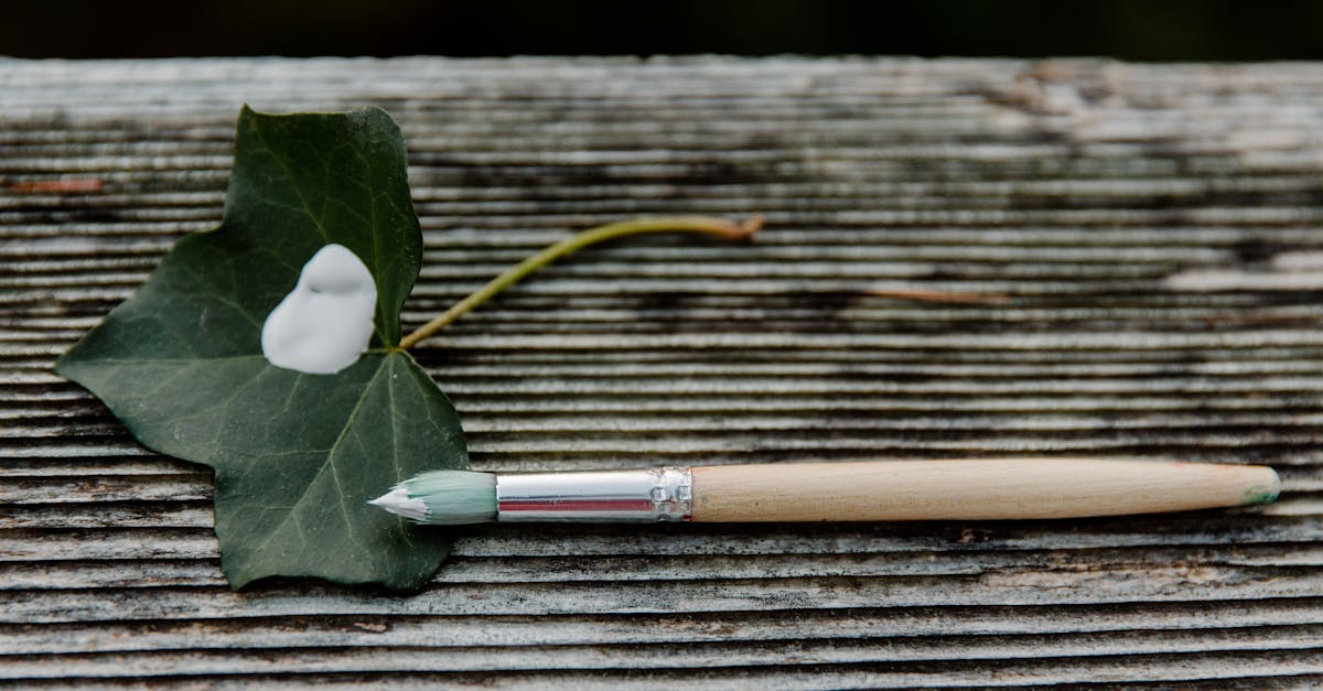 How to draw a leaf and label it