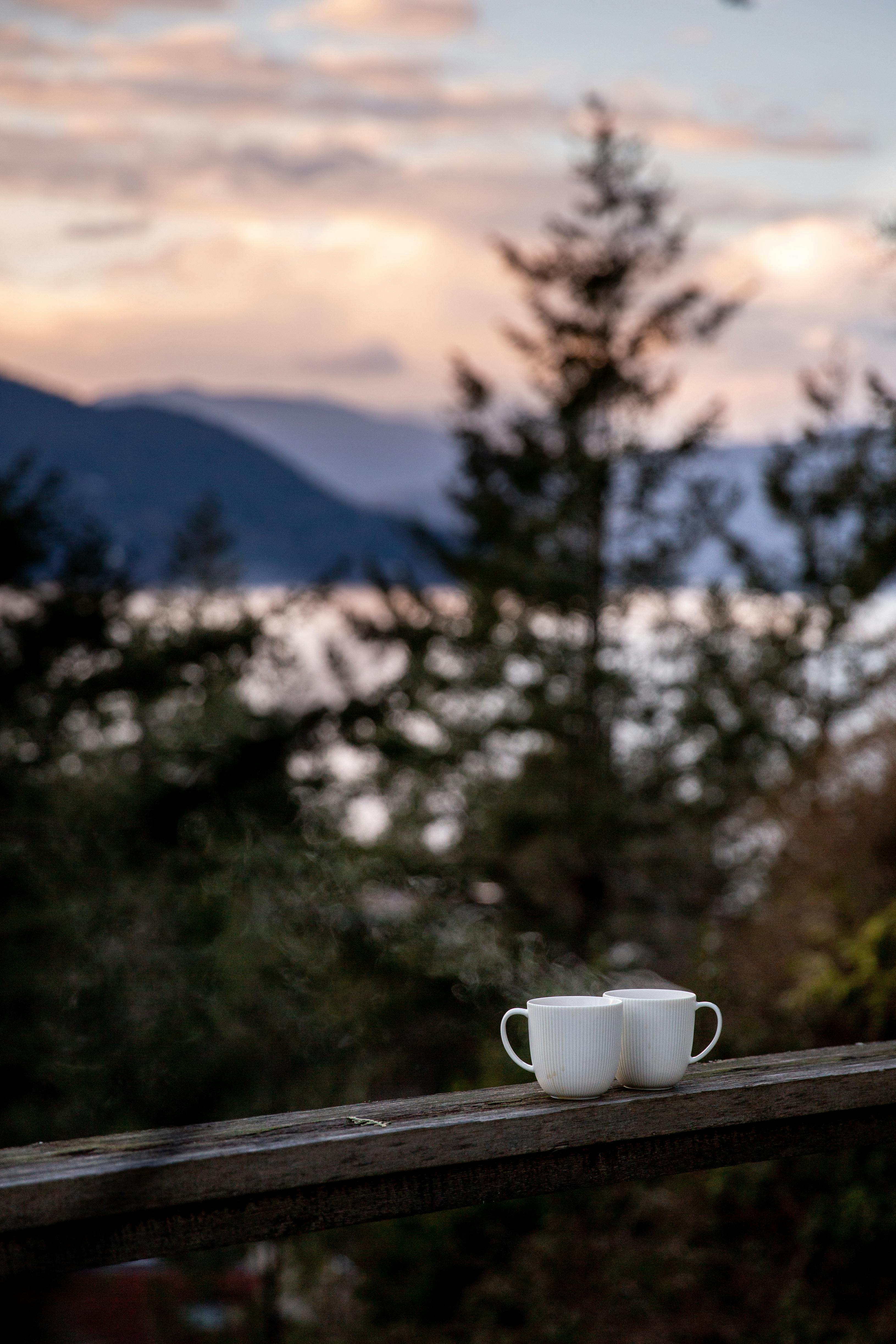 Top Reliable White Tea Suppliers