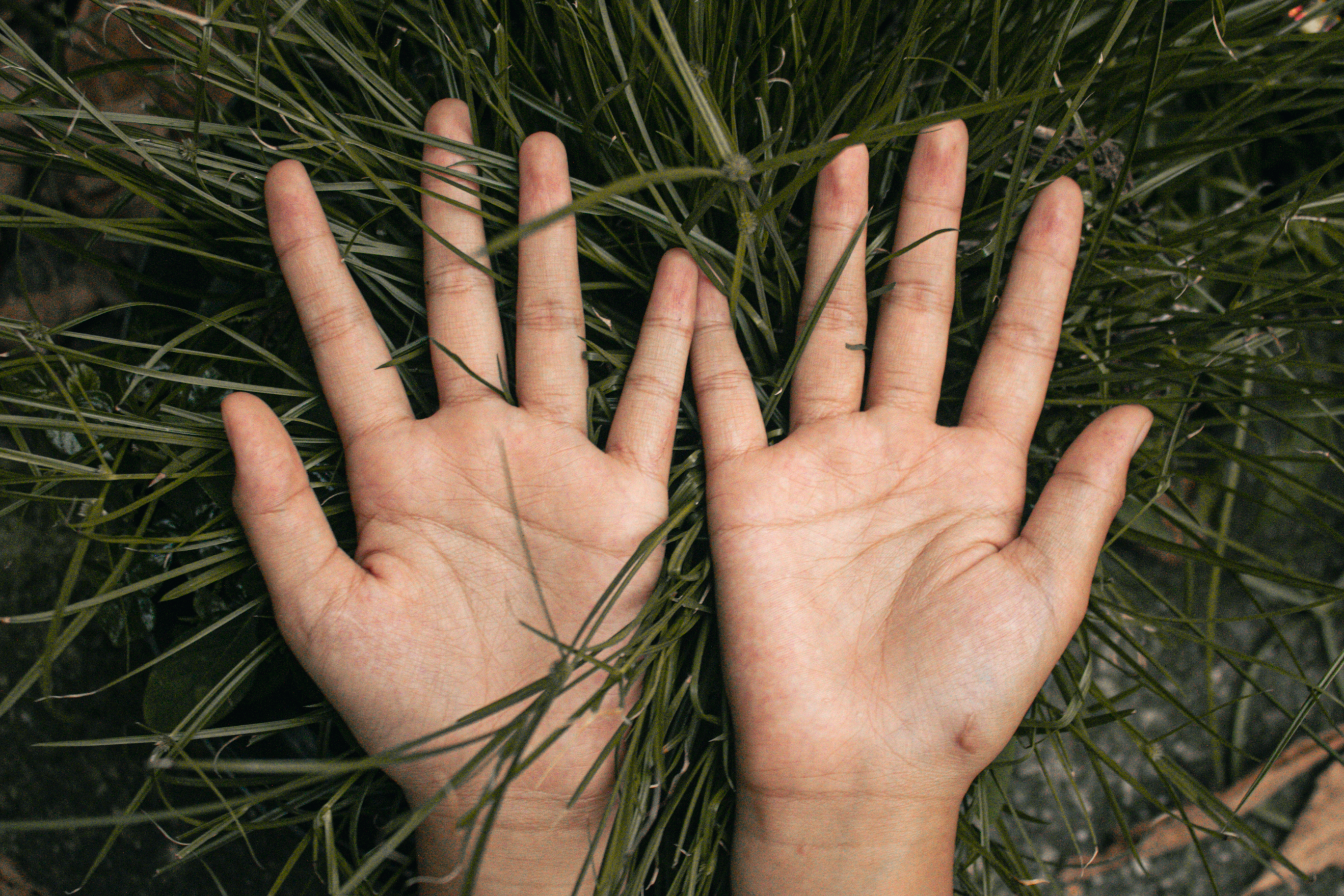 Hands touching grass, symbolizing connection with nature and environment.