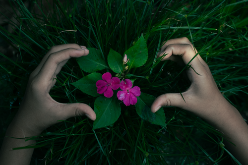 Free stock photo of aesthetic, autumn, care Stock Photo